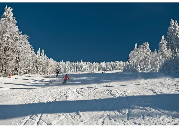 Mobilheime Klaffer am Hochficht